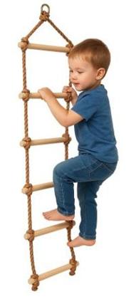Ladder